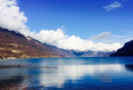 Bellavista Restaurant美食图片