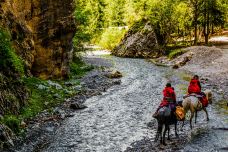 则岔石林-碌曲-doris圈圈