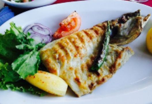 Dodo Balik Restaurant美食图片