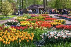 库肯霍夫公园-利瑟-doris圈圈