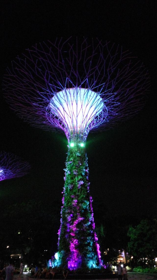 新加坡濱海灣花園