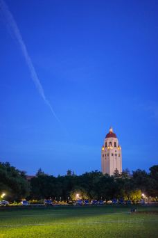 斯坦福大学-斯坦福-doris圈圈