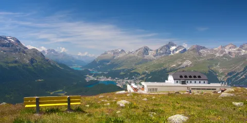 穆奧塔斯穆拉佑