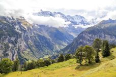 米伦-米伦-doris圈圈