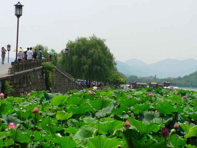 西湖