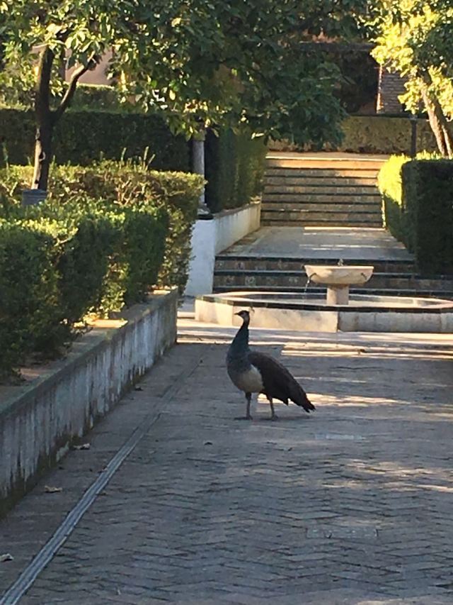 세비야 알카사르