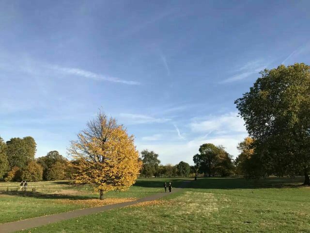 Hyde Park