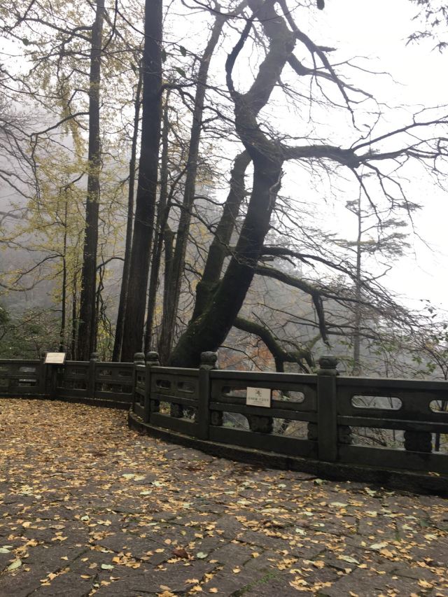 天目山景區