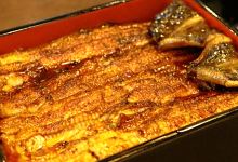 Kanda Kikukawa, Kanda美食图片