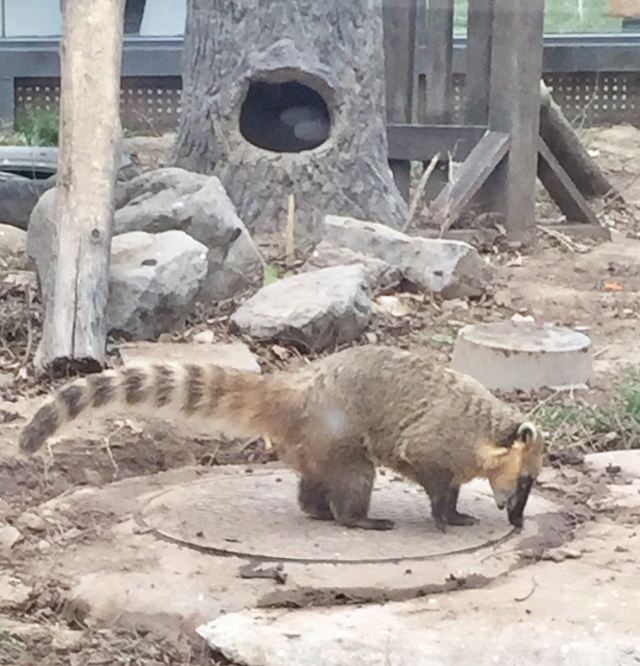 Beijing Zoo
