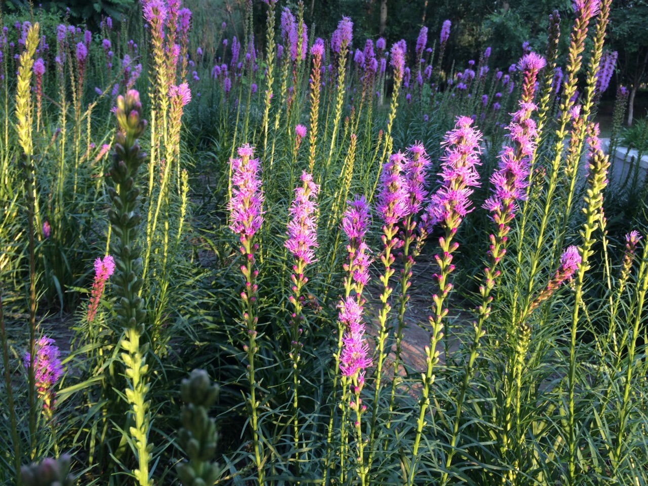 沈阳碧水湾酒店
