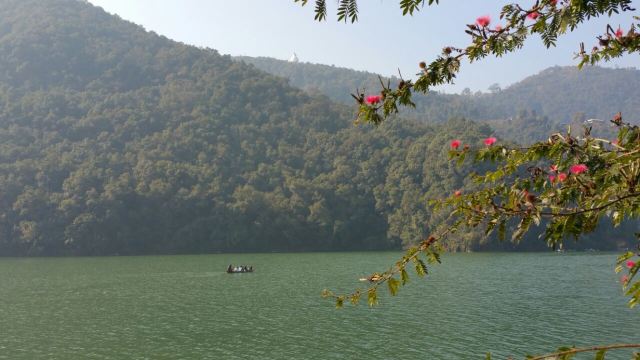 Phewa Lake