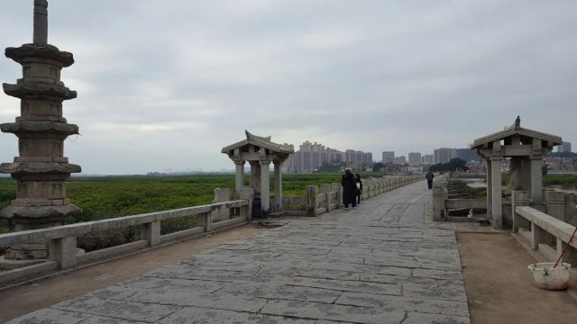 낙양교