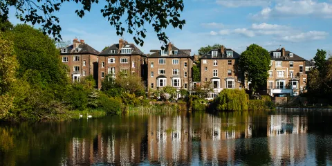 漢普斯特德荒野