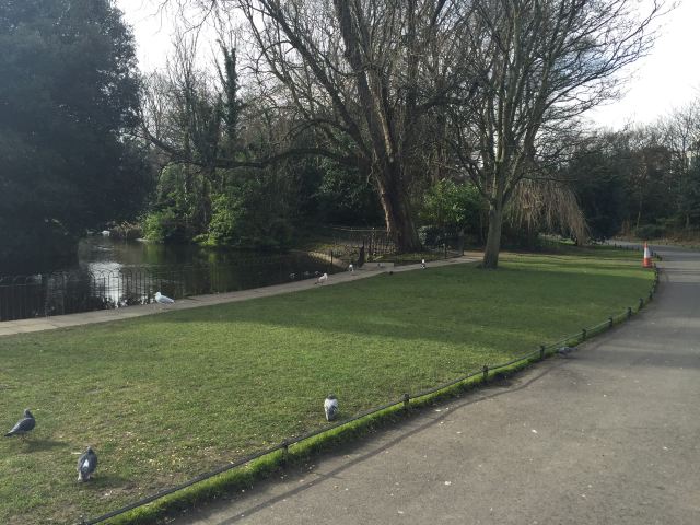 St. Stephen's Green