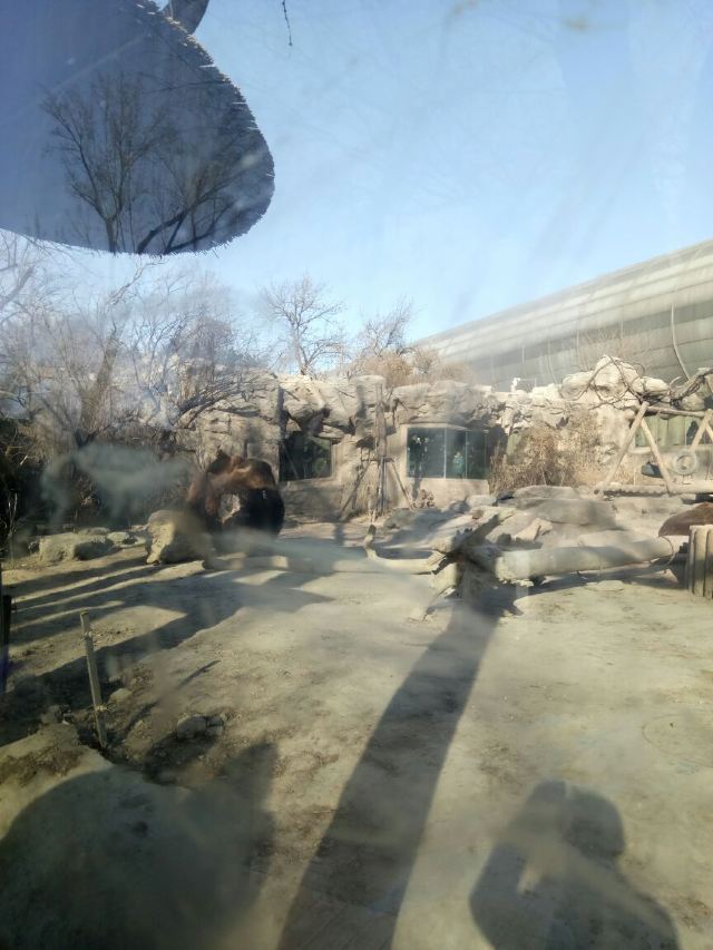 Beijing Zoo