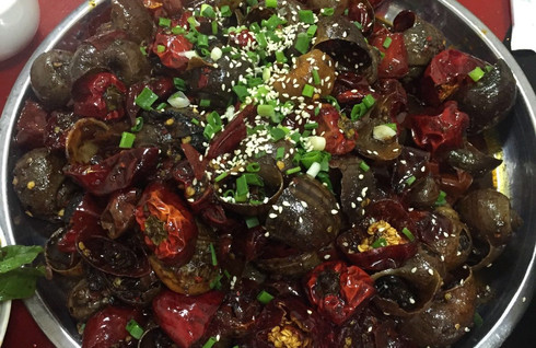 广安、合川自驾三日游--宝箴塞、小平故里、钓