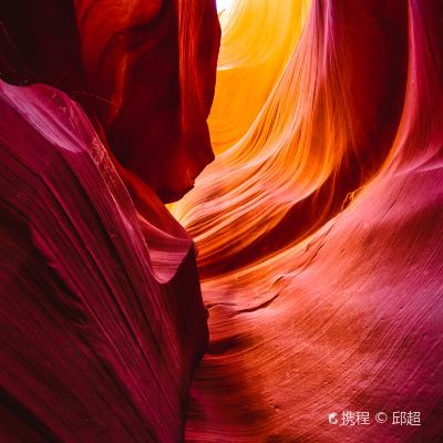 <12天>【三進黃石 | 3天2晚黃石】美西自然探索深度遊·15大黃石公園景點必打卡+大提頓+下羚羊彩穴+馬蹄灣+拉斯維加斯+西峽谷+ 優勝美地+舊金山+17裏灣+洛杉磯自由行+含接送機(木屋團)