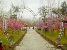 滨湖国家森林公园-合肥-ZZJ思由跋