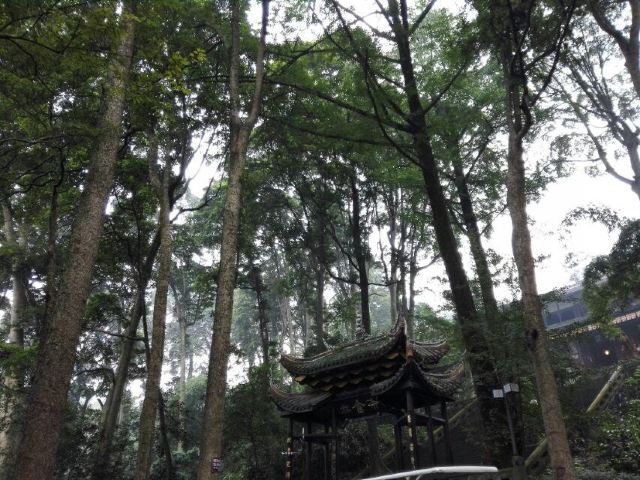 Fuhu Temple
