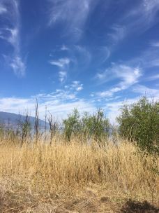 马久邑村-大理市-爱一切美好