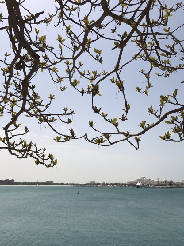 Emirates Palace Abu Dhabi