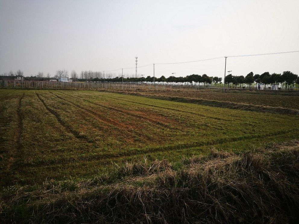 乡村道路