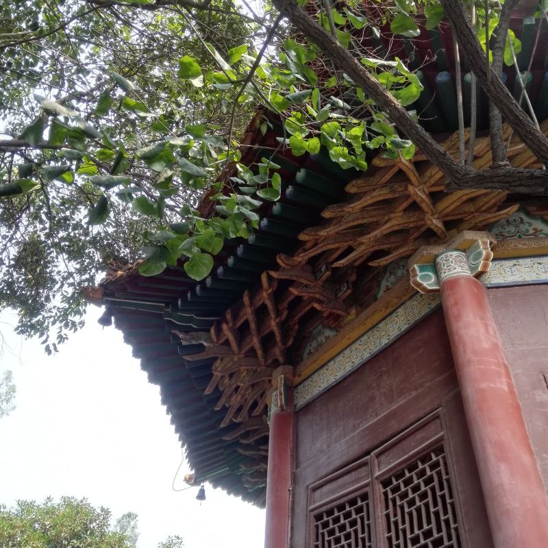 Xian Beilin Museum Tickets Deals Reviews Family - 