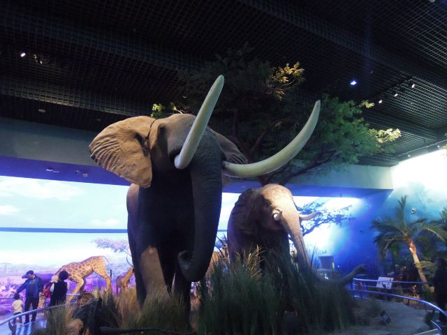 Tianjin Natural History Museum