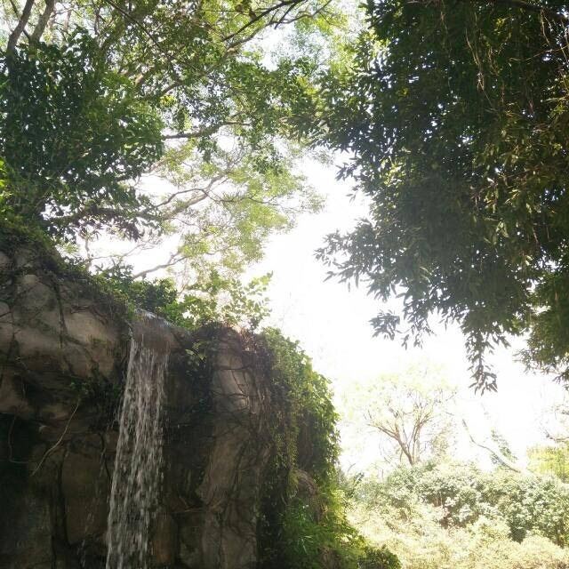 Kowloon Park