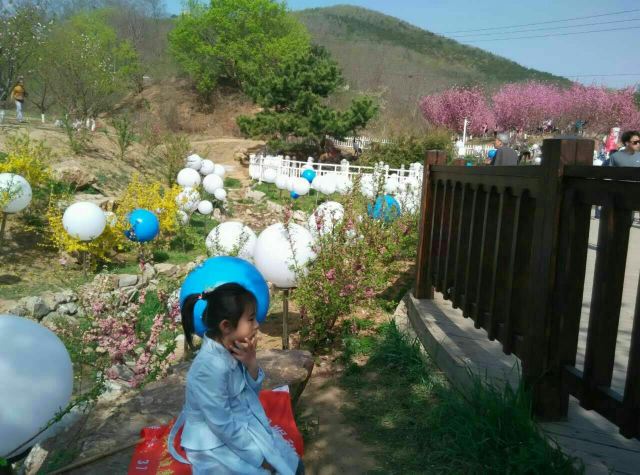 203고지