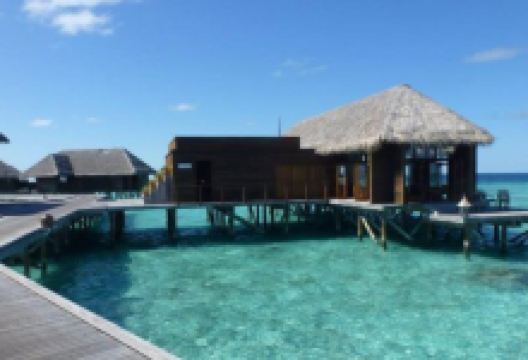 Mandhoo Spa Restaurant美食图片