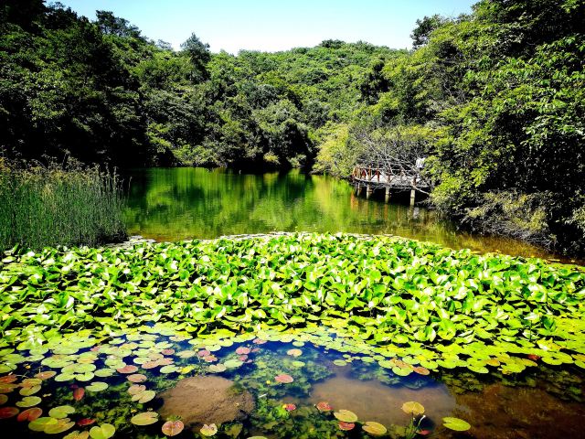 Tianmu Lake Scenic Area