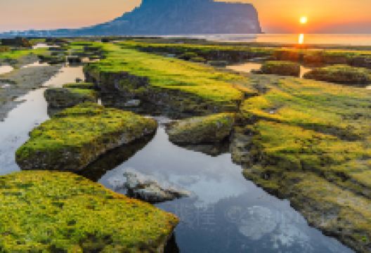 城山日出峰景点图片