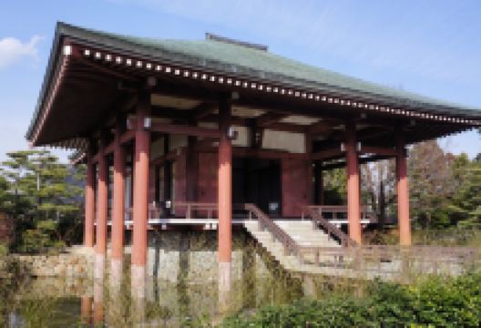 中宫寺景点图片