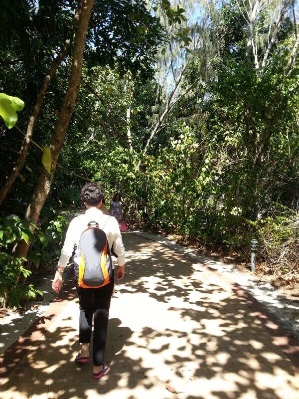 Green Island