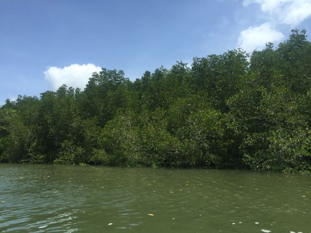 Ao Phang Nga National Park