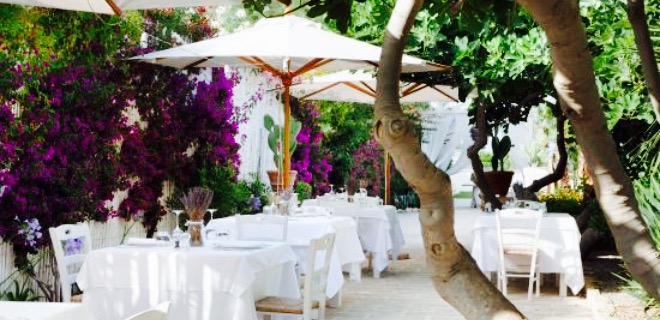 Autentico Wine & Restaurant餐厅图片