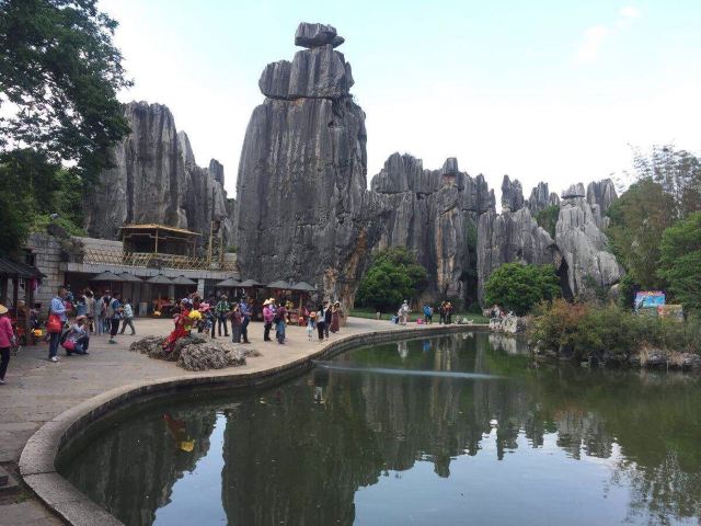 Stone Forest