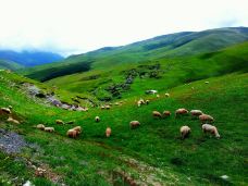 大海草山-会泽-YoYo_8F7A4K1J