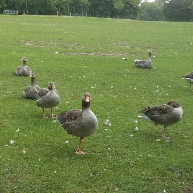 Hyde Park