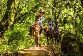 拉市海茶马古道一日游当天9-12点随买随发/含骑马/含午餐【精品纯玩小团，品质舒适至上！骑马体验，送特色午餐！】