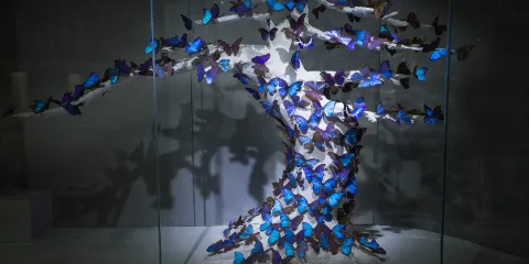 世界昆蟲博物園