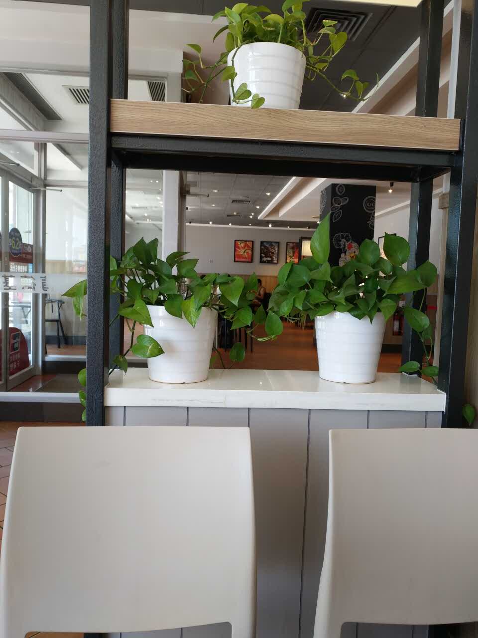 Gallery 3