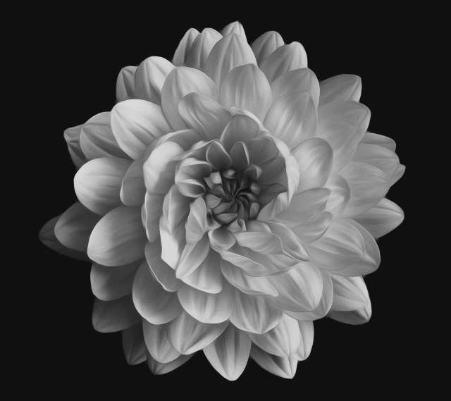 肯德基(郫县恒创店)