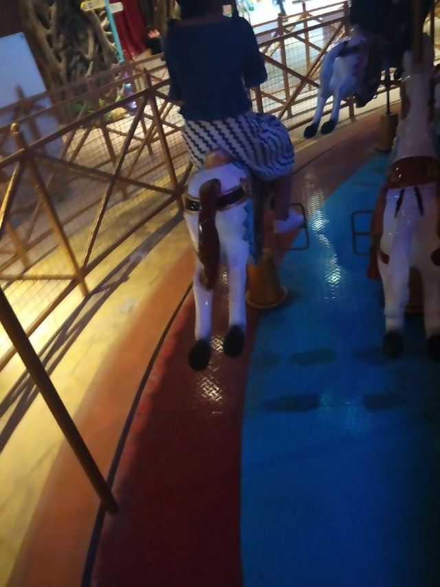 Shishi Shimao Max Wonder Park