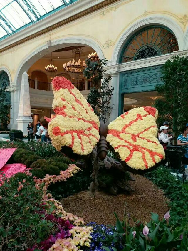 Fountains of Bellagio