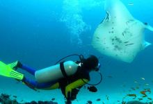 Ocean Spirit Scuba Diving Mauritius景点图片