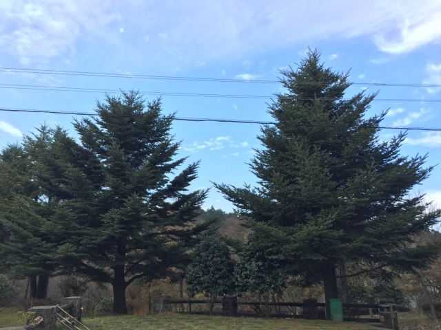쓰밍산 국립삼림공원
