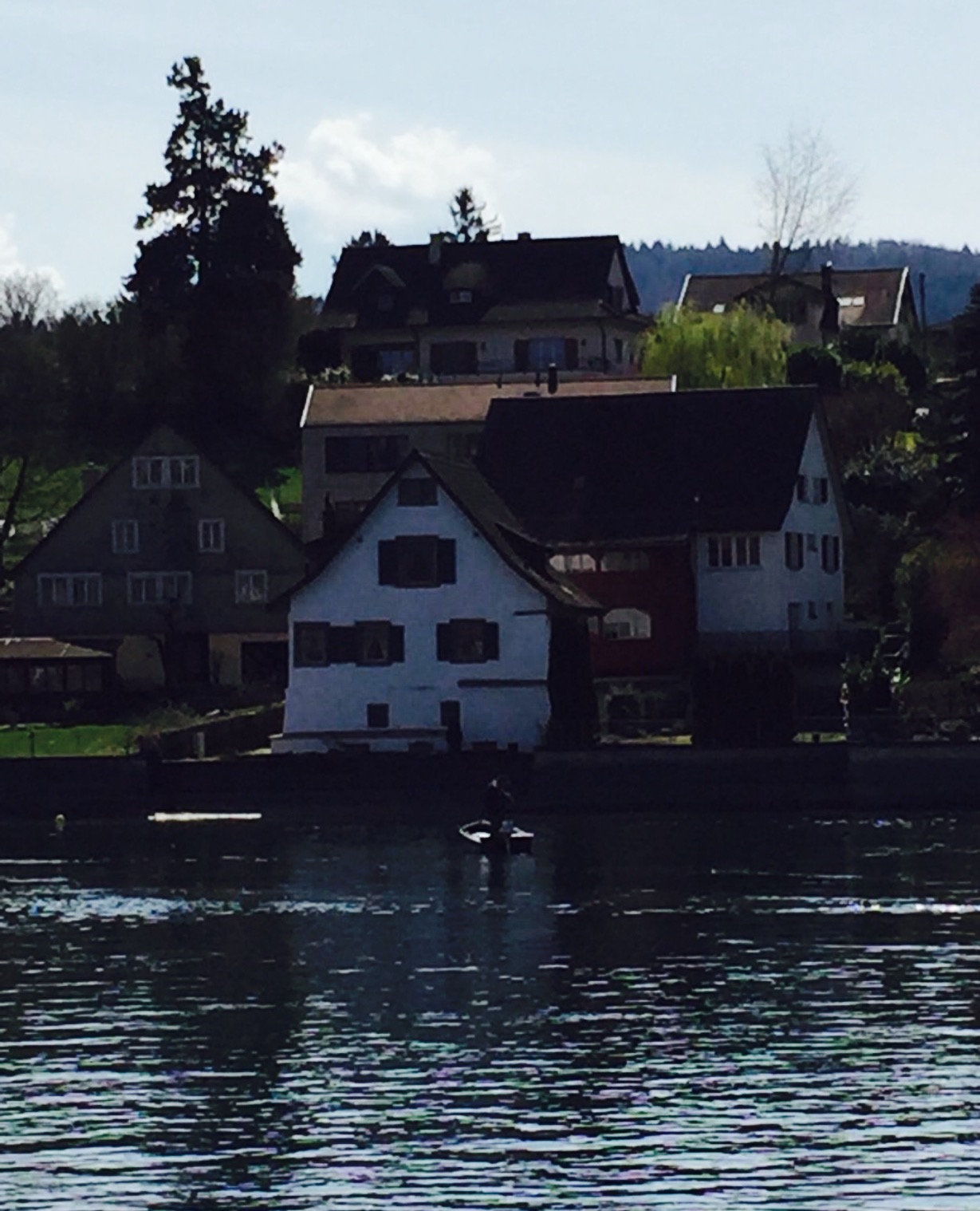 Restaurant Rheingerbe餐厅图片